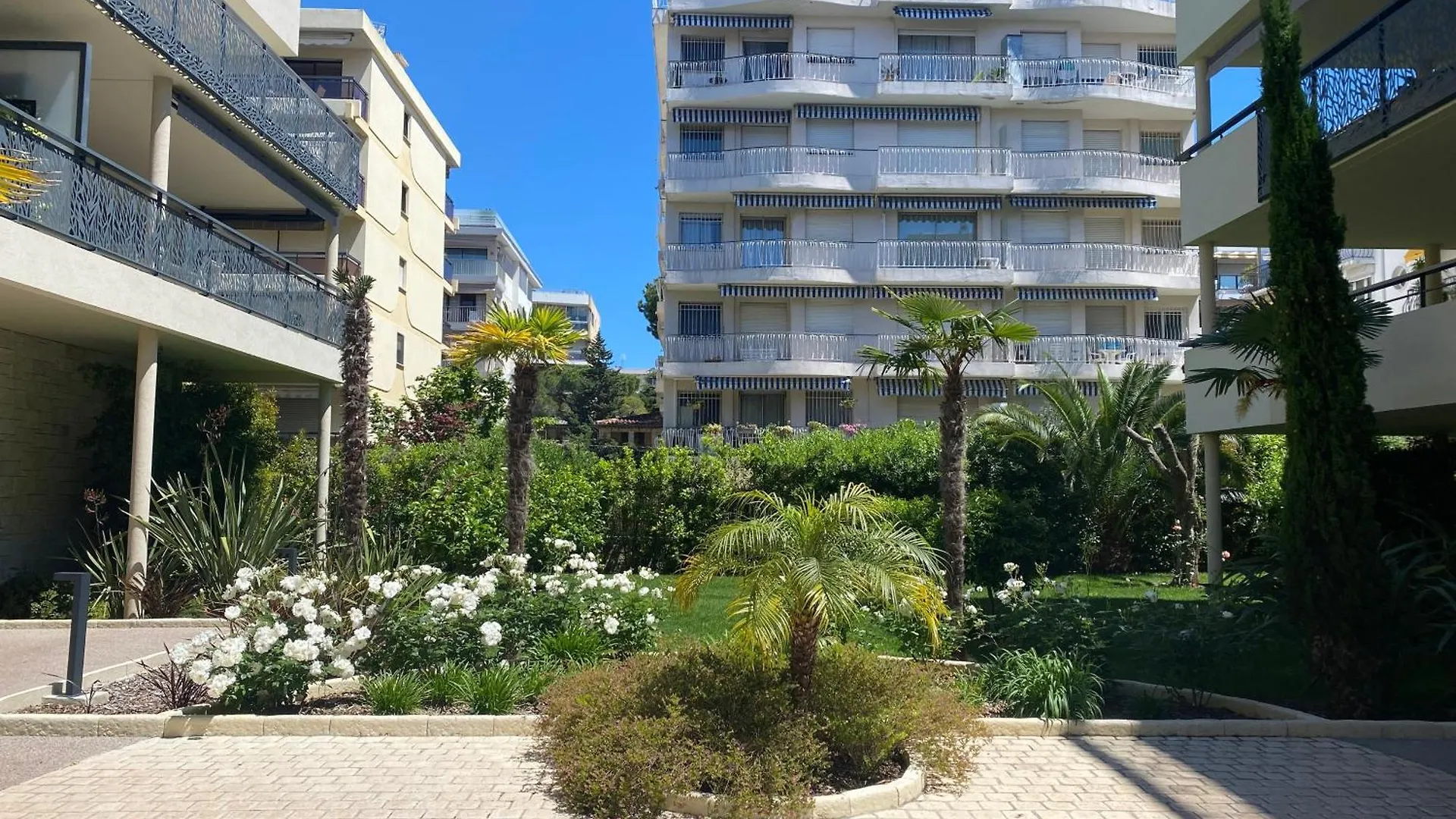 Appartement Palm Beach Proche Croisette Cannes Frankrike